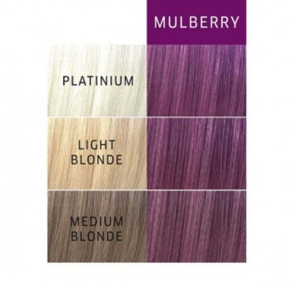 NEW Wella Color Charm Paints Semi-Permanent Color in Mulberry - Picture 2 of 6